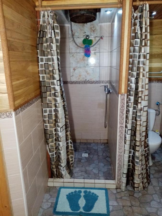 Садиба Федорчуків За Рікою1 Sheshory Exterior photo