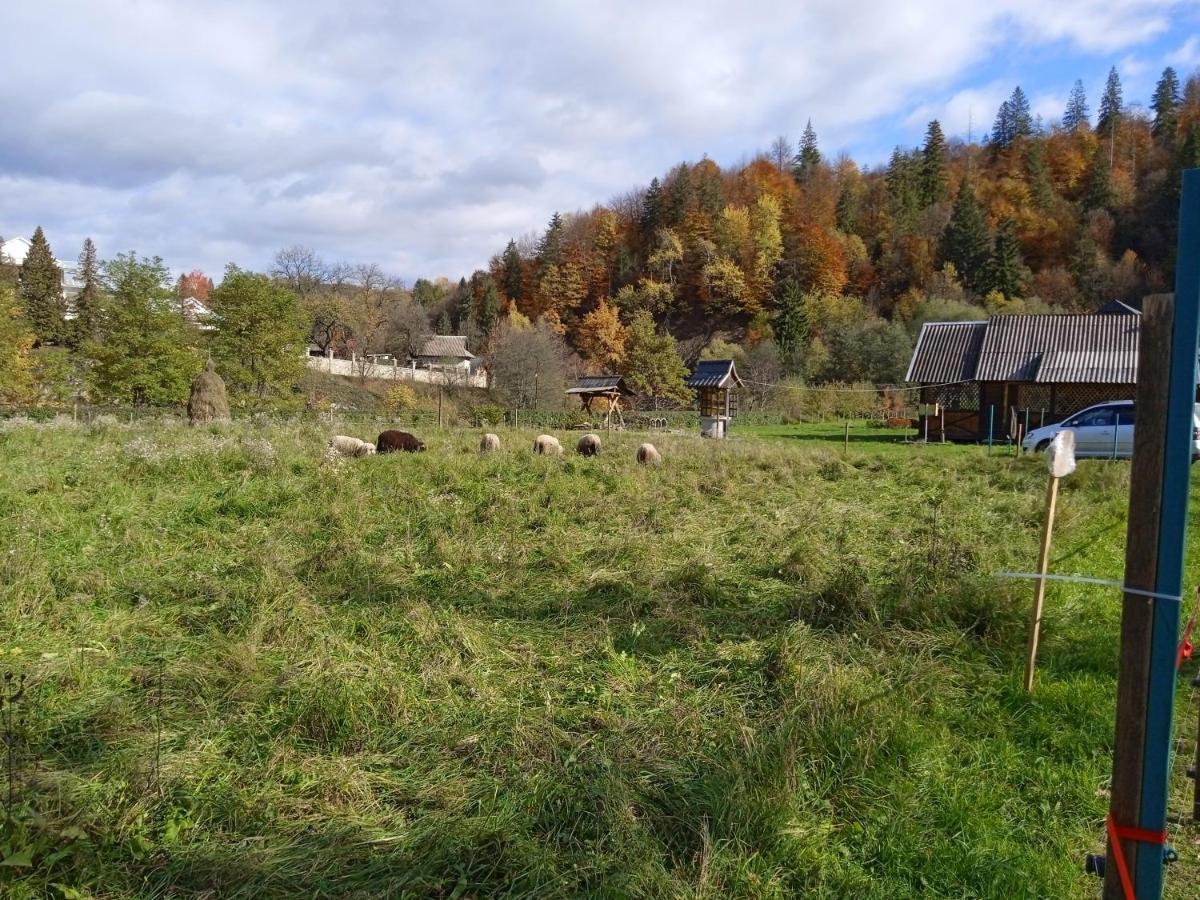 Садиба Федорчуків За Рікою1 Sheshory Exterior photo