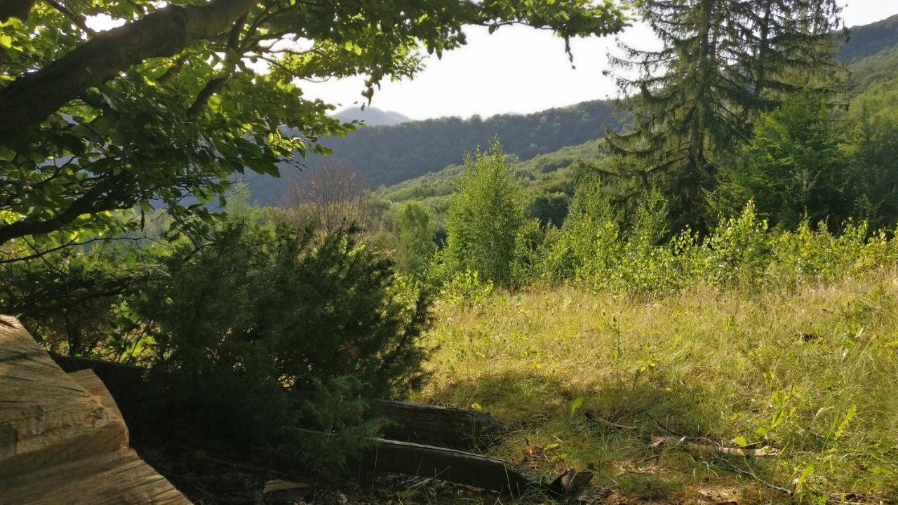 Садиба Федорчуків За Рікою1 Sheshory Exterior photo