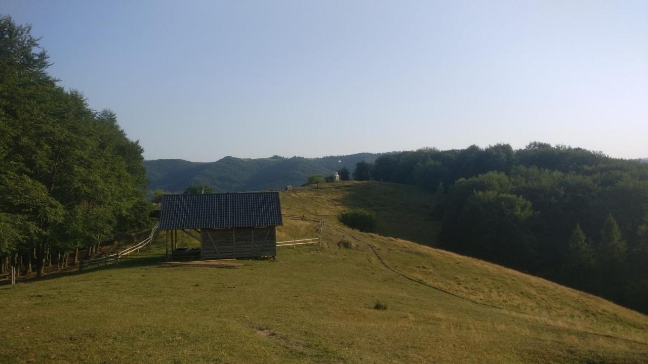 Садиба Федорчуків За Рікою1 Sheshory Exterior photo